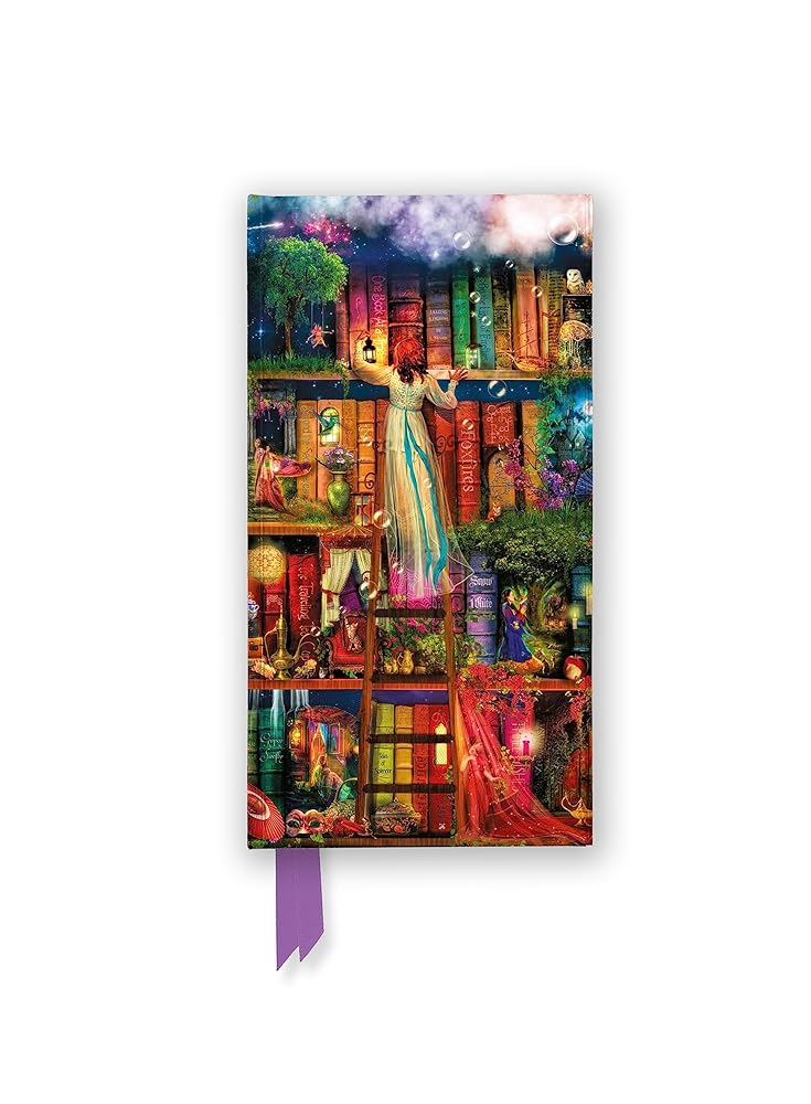 Aimee Stewart: Treasure Hunt Bookshelves (Foiled Slimline Journal) (Flame Tree Slimline Journals) by Flame Tree Studio
