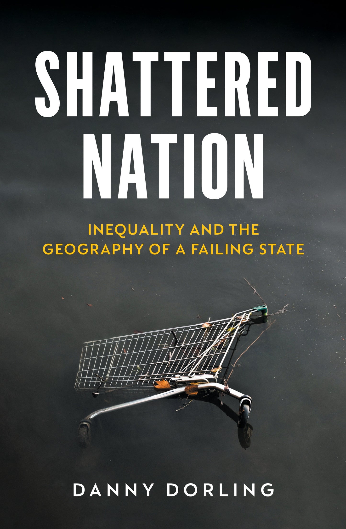 Shattered Nation - Inequality and the Geography of A Failing State