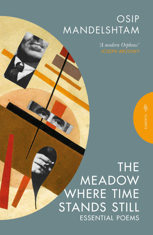 The Meadow Where Time Stands Still - Selected Poems (Pushkin Press Classics)