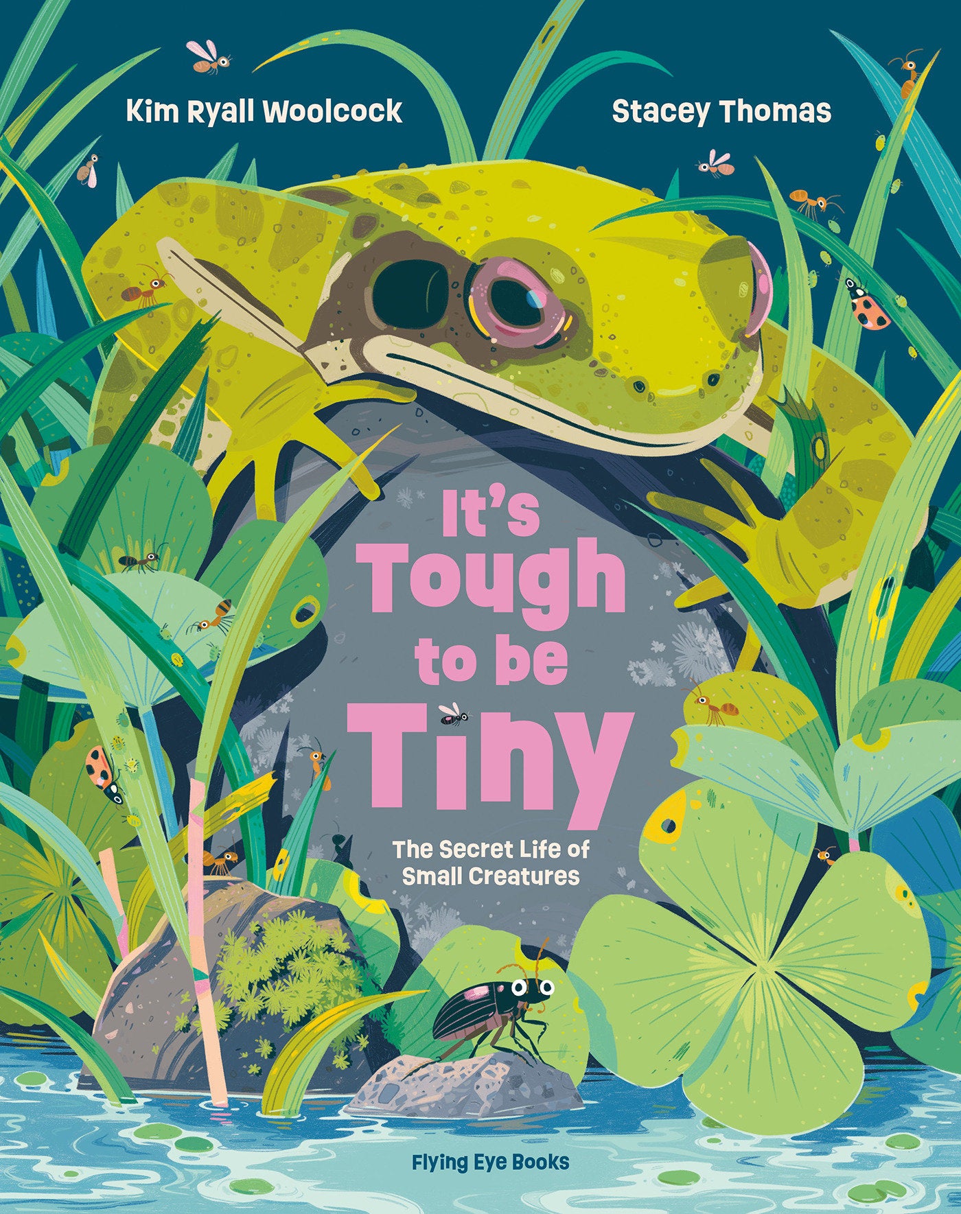 It's Tough to Be Tiny - The Secret Life of Small Creatures
