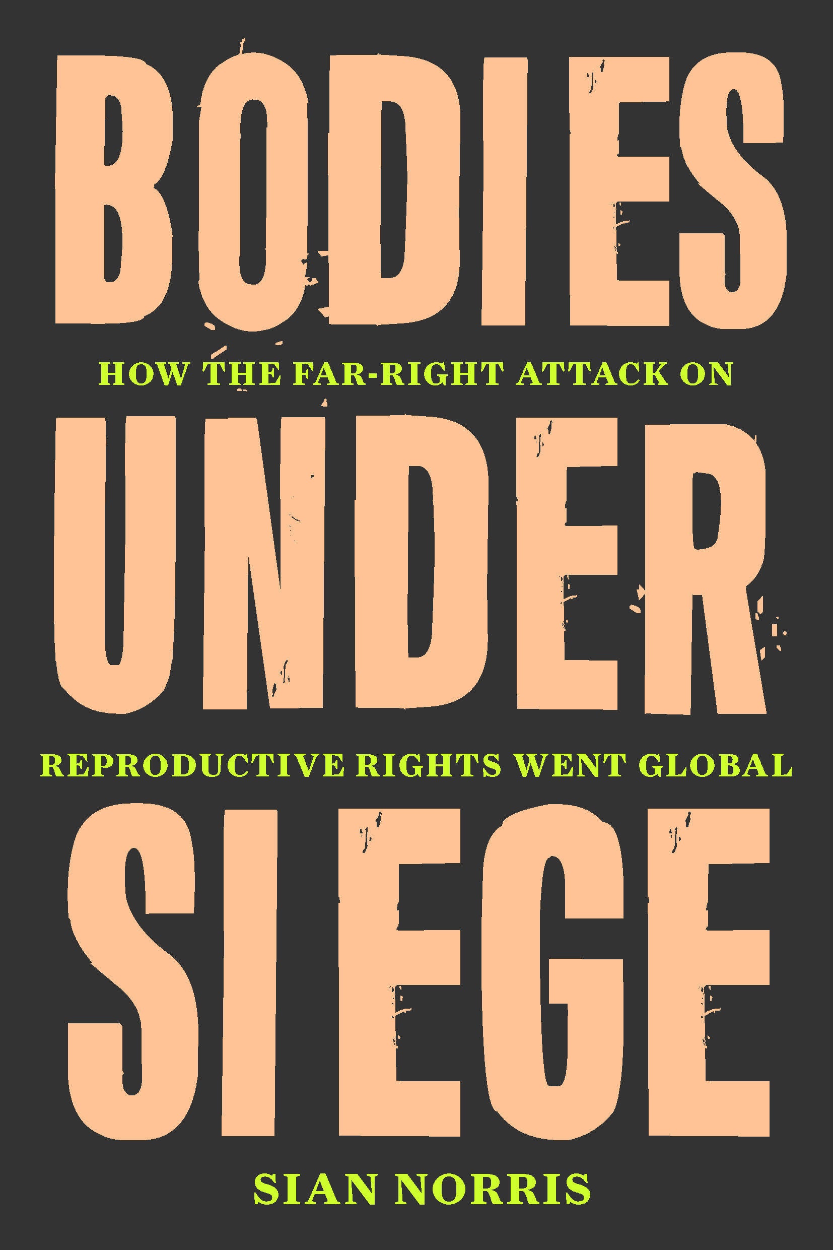 Bodies Under Siege - How the Far-Right Attack on Reproductive Rights Went Global