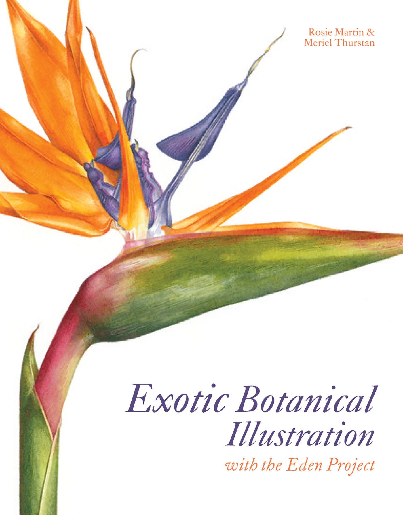 Exotic Botanical Illustration - With The Eden Project
