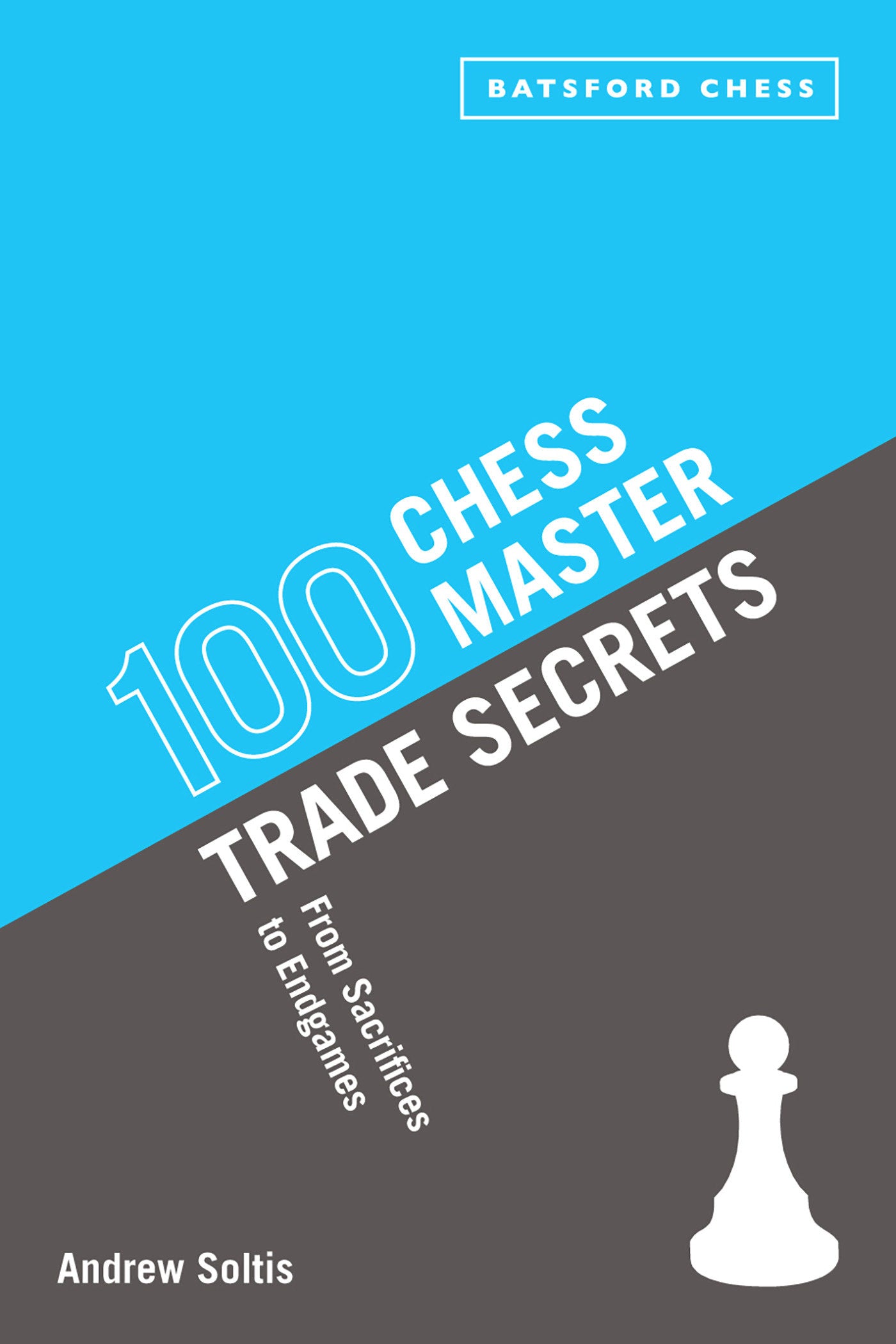 100 Chess Master Trade Secrets - From Sacrifices To Endgames