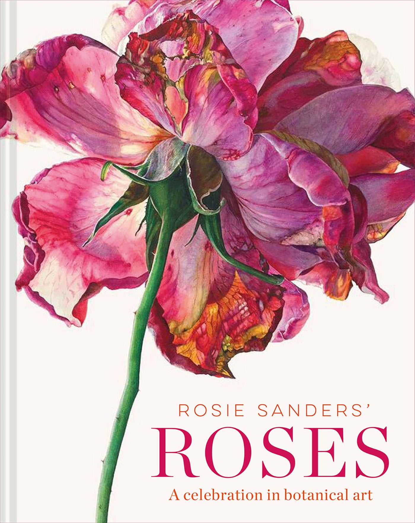 Rosie Sanders' Roses - A Celebration In Botanical Art
