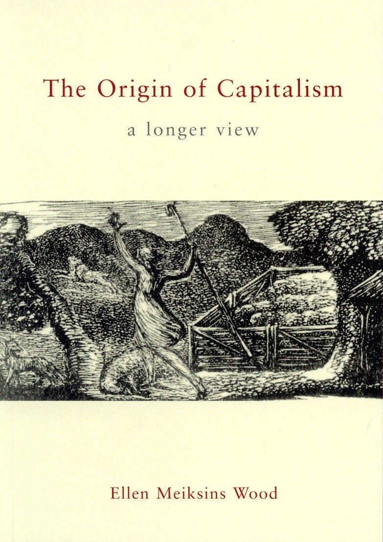 The Origin of Capitalism - A Longer View