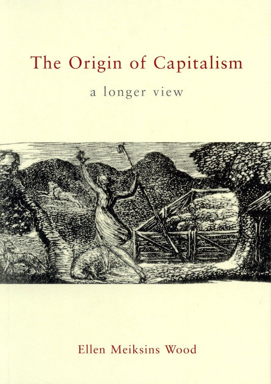 The Origin of Capitalism - A Longer View