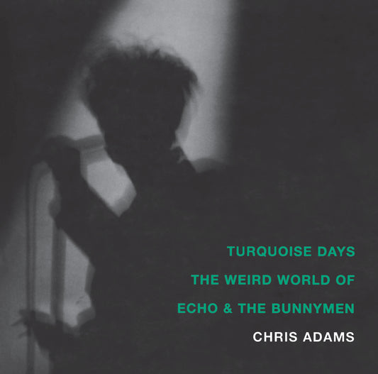 Turquoise Days - The Weird World of Echo and the Bunnymen
