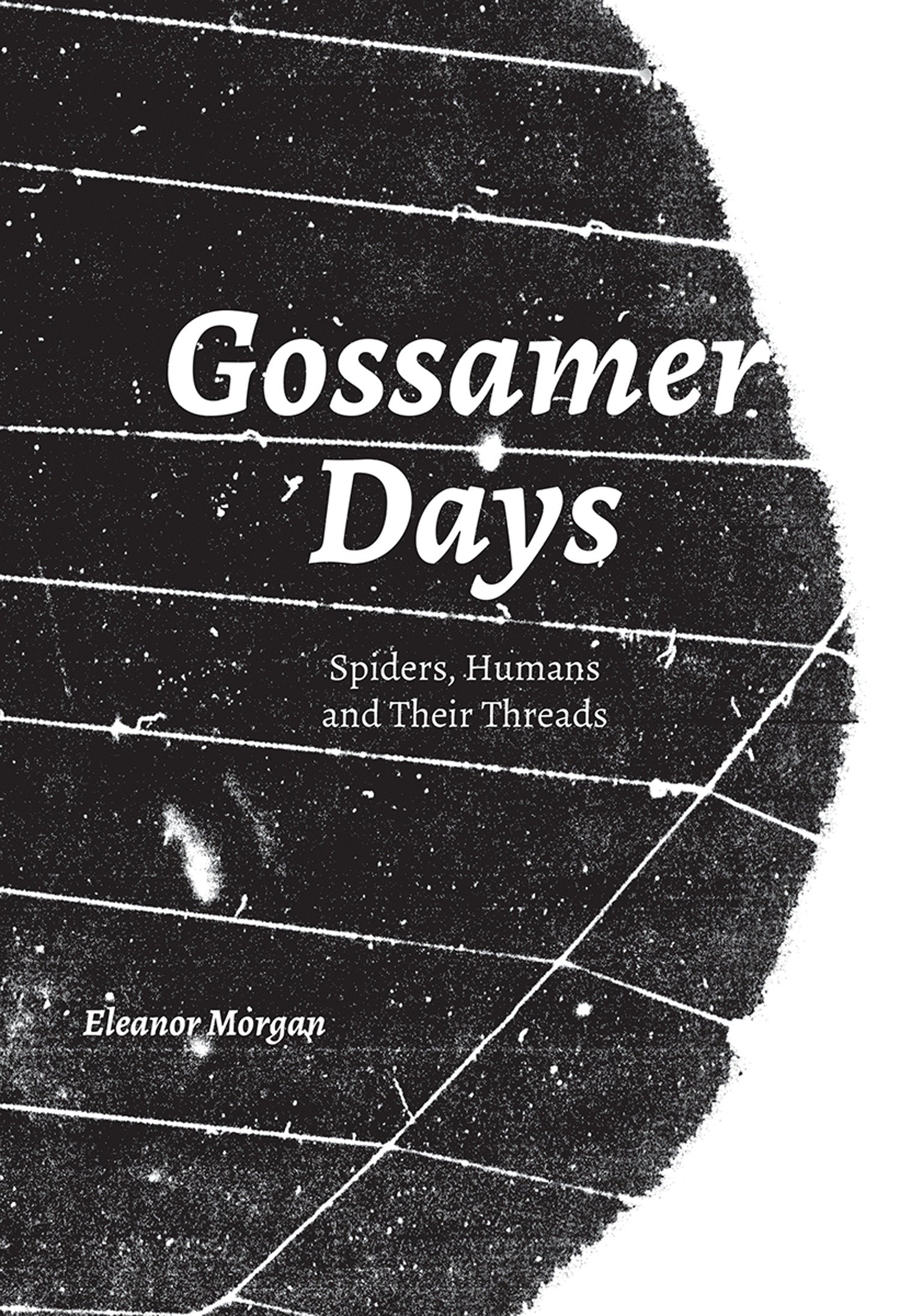 Gossamer Days - Spiders, Humans and Their Threads