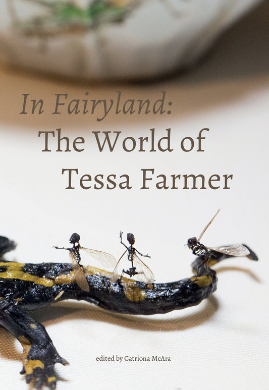 In Fairyland - The World of Tessa Farmer