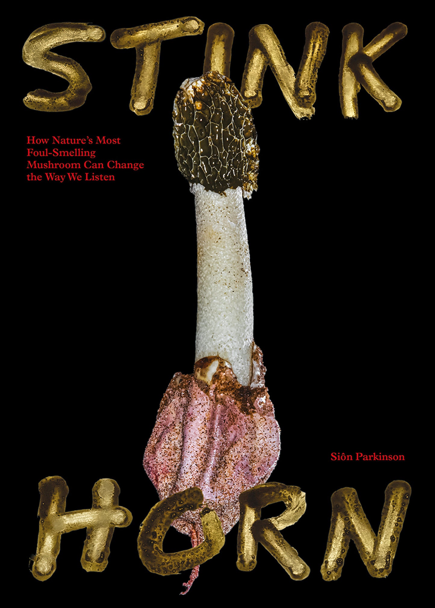 Stinkhorn - How Nature's Most Foul-Smelling Mushroom Can Change the Way We Listen