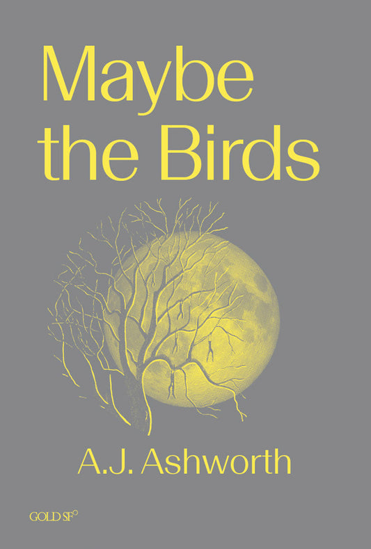 Maybe the Birds (Goldsmiths Press / Gold SF)
