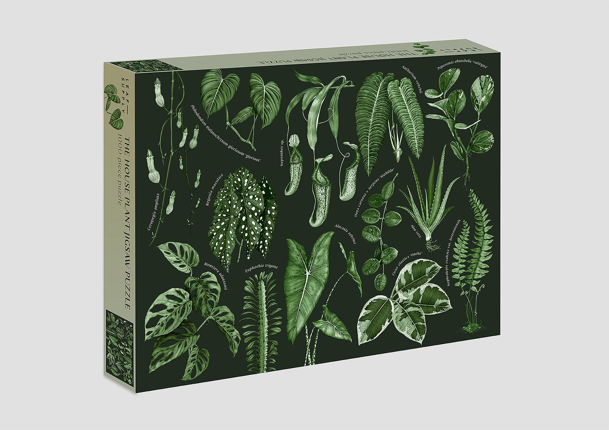 Leaf Supply: The House Plant Jigsaw Puzzle - 1000-Piece Jigsaw Puzzle