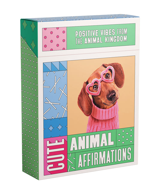 Cute Animal Affirmations - Positive vibes from the animal kingdom