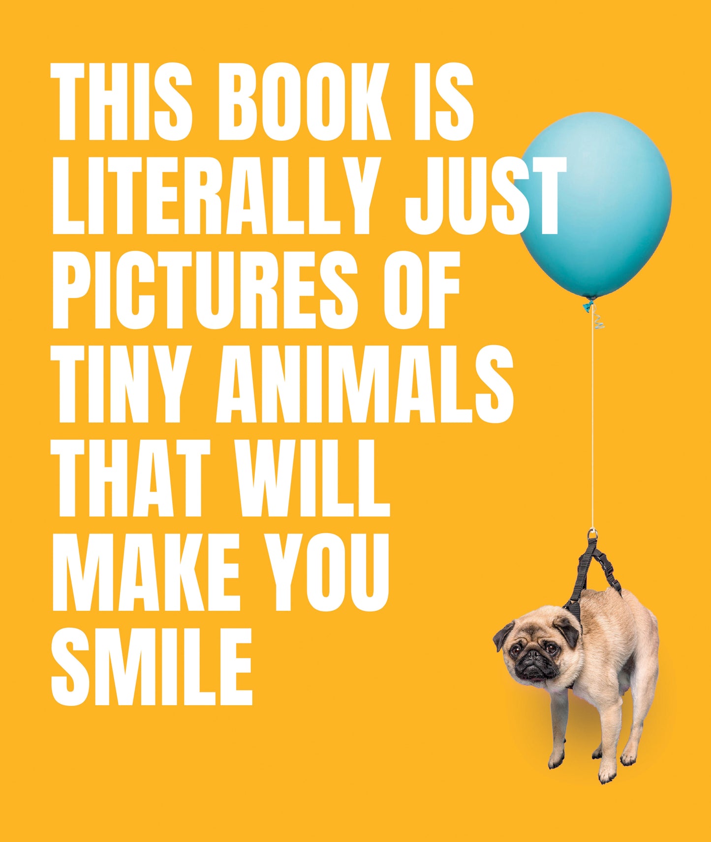 This Book Is Literally Just Pictures of Tiny Animals That Will Make You Smile (LITERALLY JUST PICTURES)