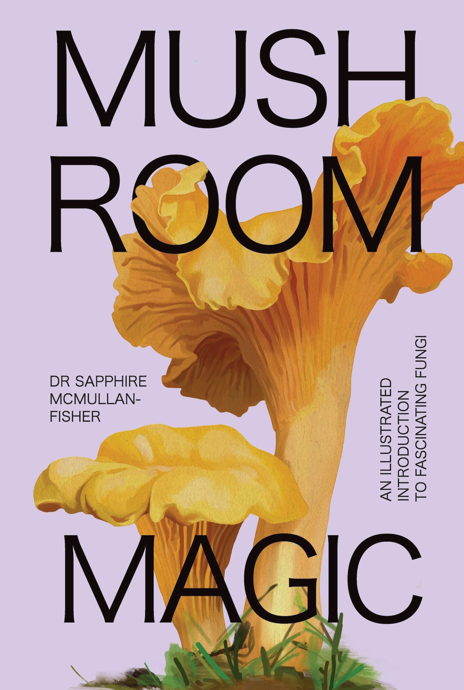 Mushroom Magic - An Illustrated Introduction to Fascinating Fungi