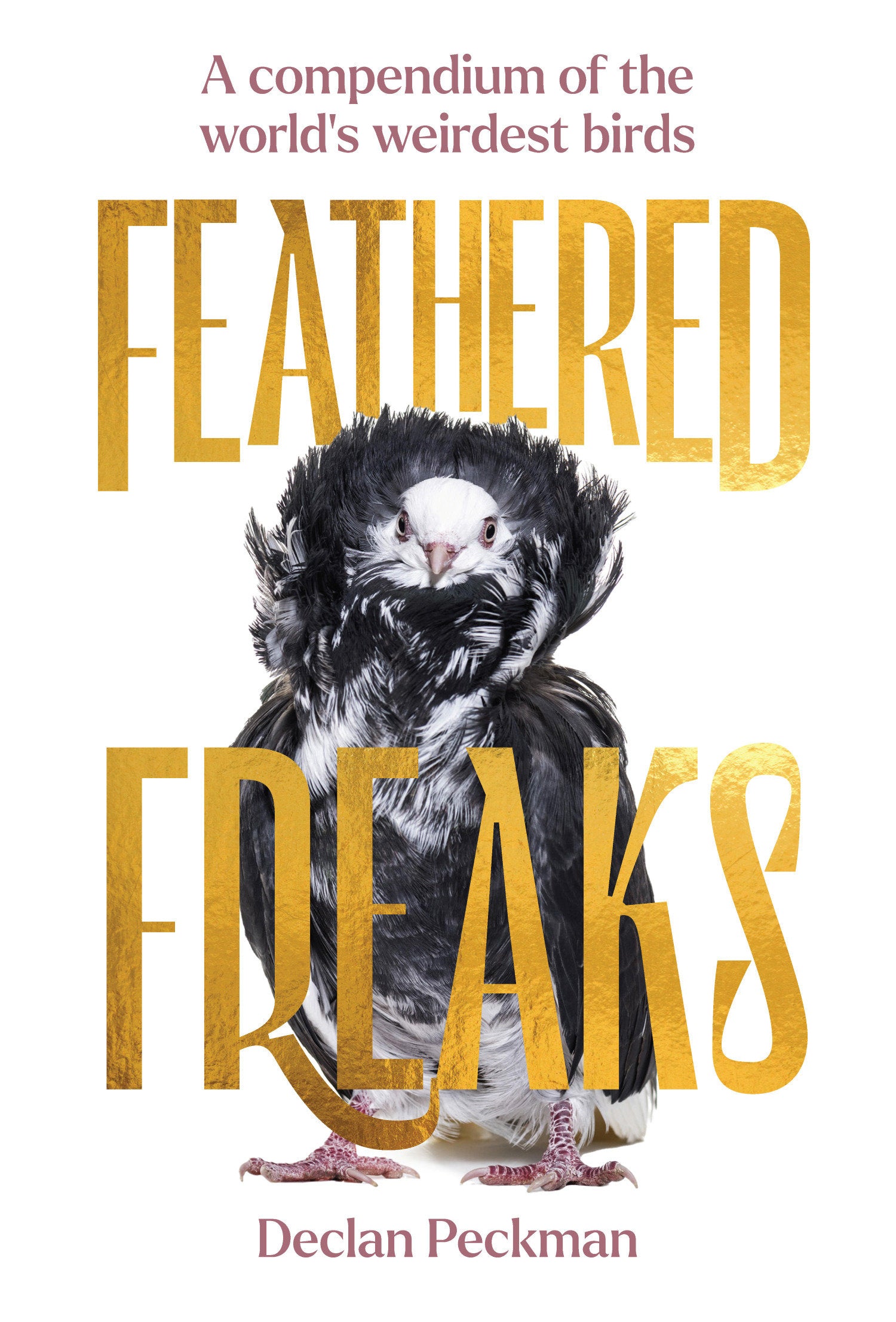 Feathered Freaks - A Compendium of the World's Weirdest Birds