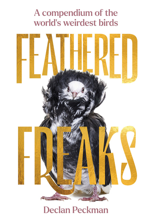 Feathered Freaks - A Compendium of the World's Weirdest Birds