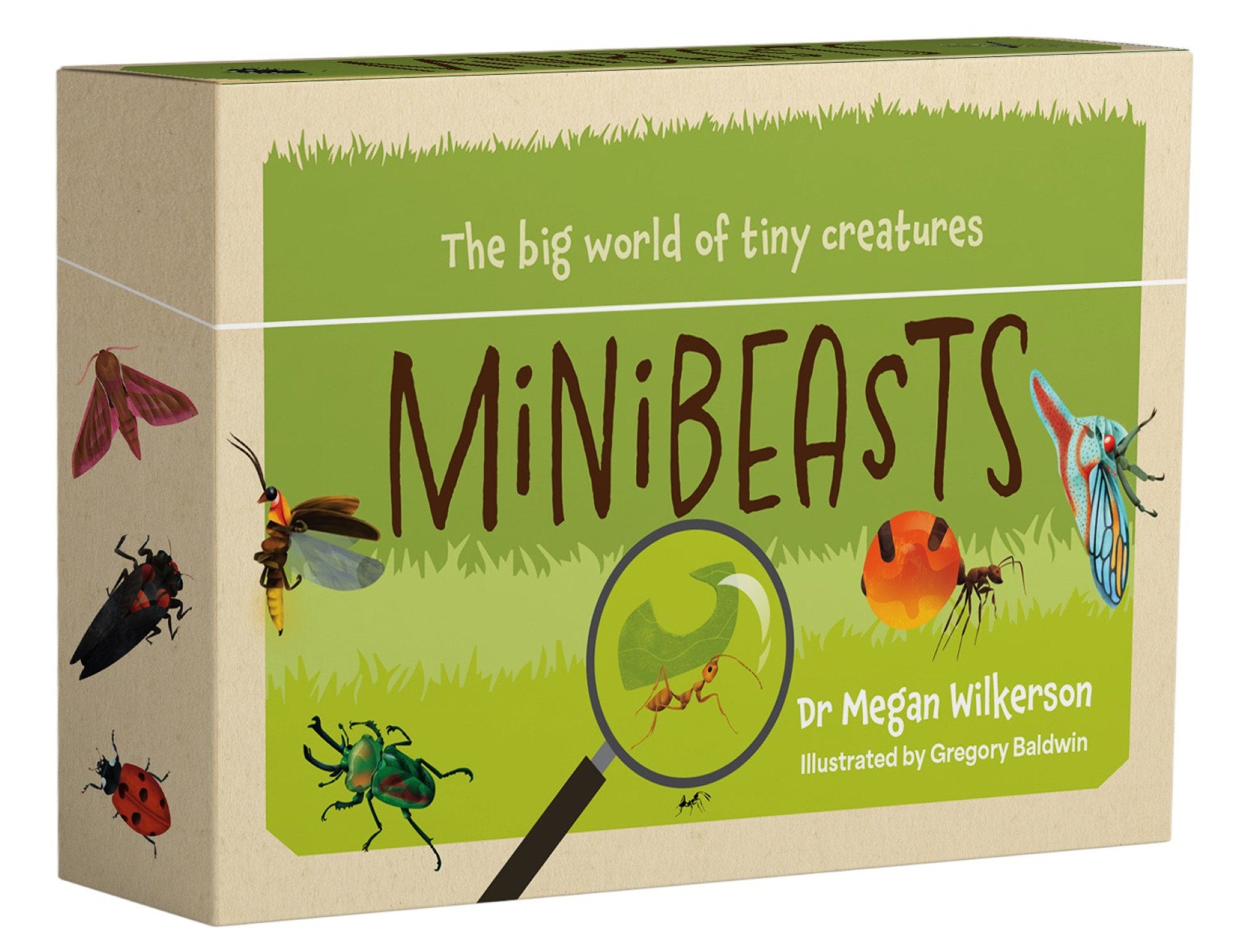 Minibeasts - The big world of tiny creatures