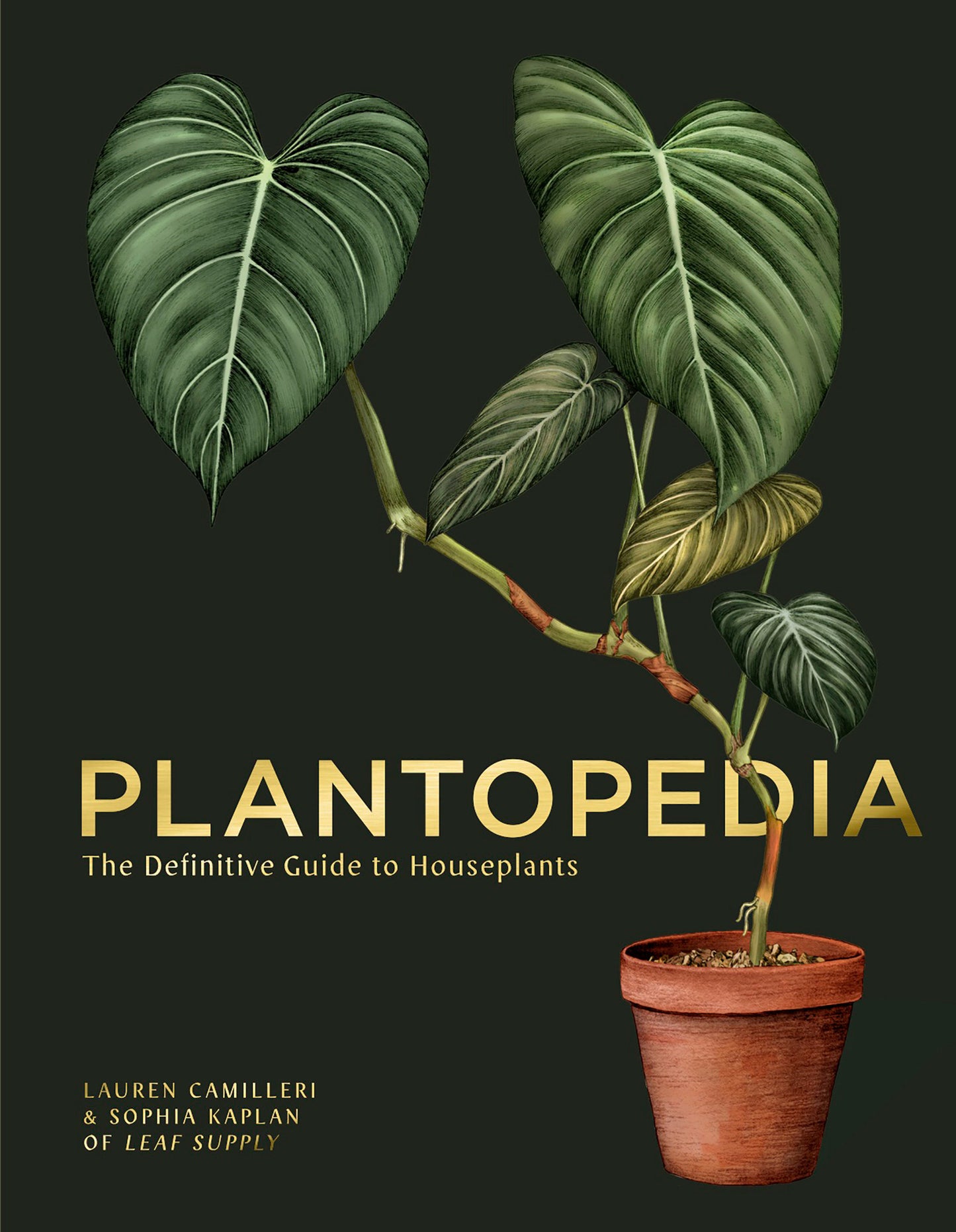 Plantopedia - The Definitive Guide to Houseplants
