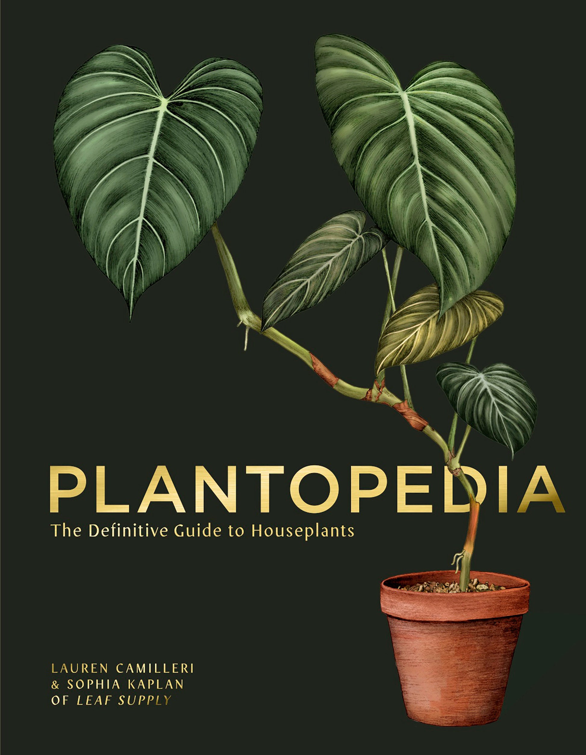 Plantopedia - The Definitive Guide to Houseplants
