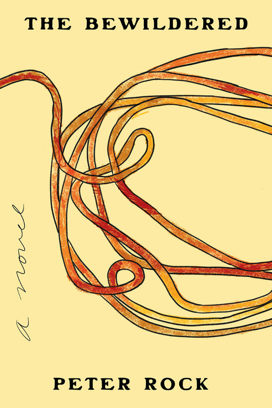 The Bewildered - A Novel