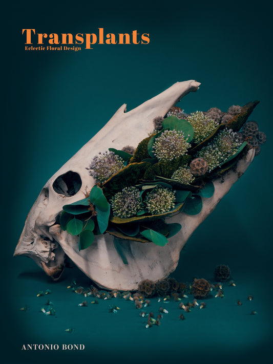 Transplants - Eclectic Floral Design�