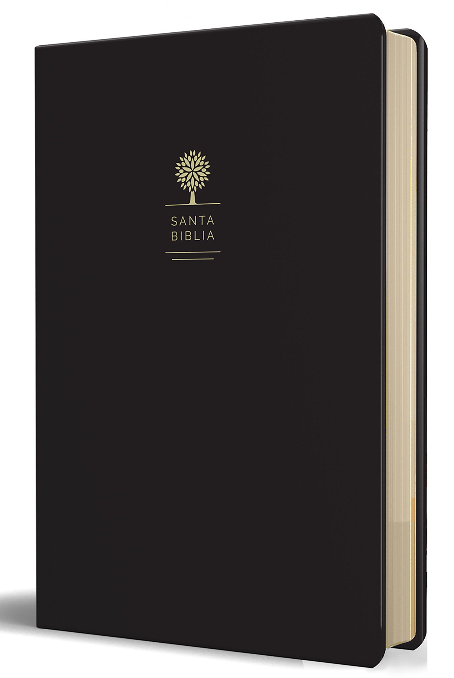 RVR60 Biblia tama�o grande, letra grande, piel negra / Reina Valera 1960 Bible Large size, large print, black leather