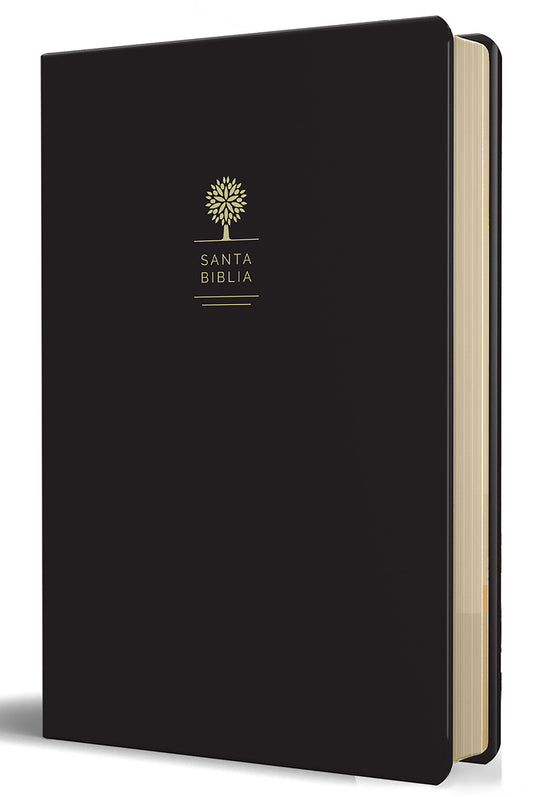 RVR60 Biblia tama�o grande, letra grande, piel negra / Reina Valera 1960 Bible Large size, large print, black leather