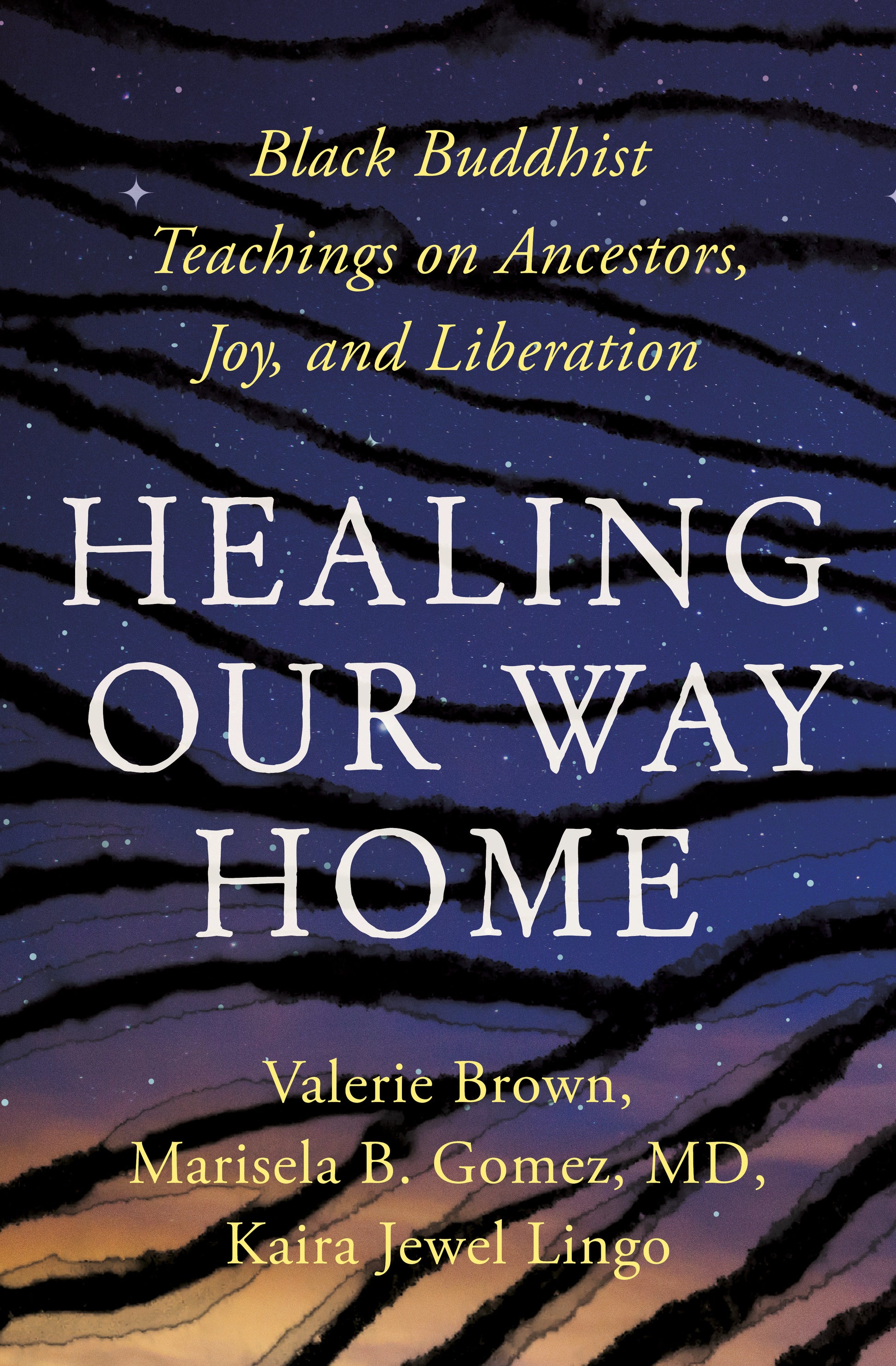 Healing Our Way Home - Black Buddhist Teachings on Ancestors, Joy, and Liberation