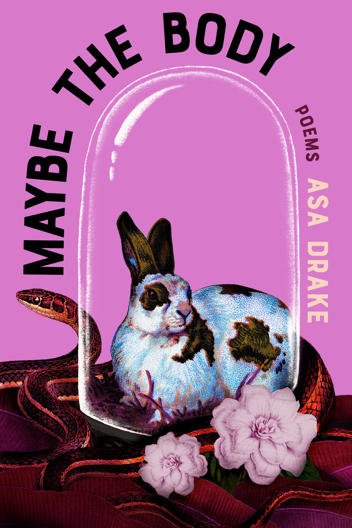 Maybe the Body - Poems