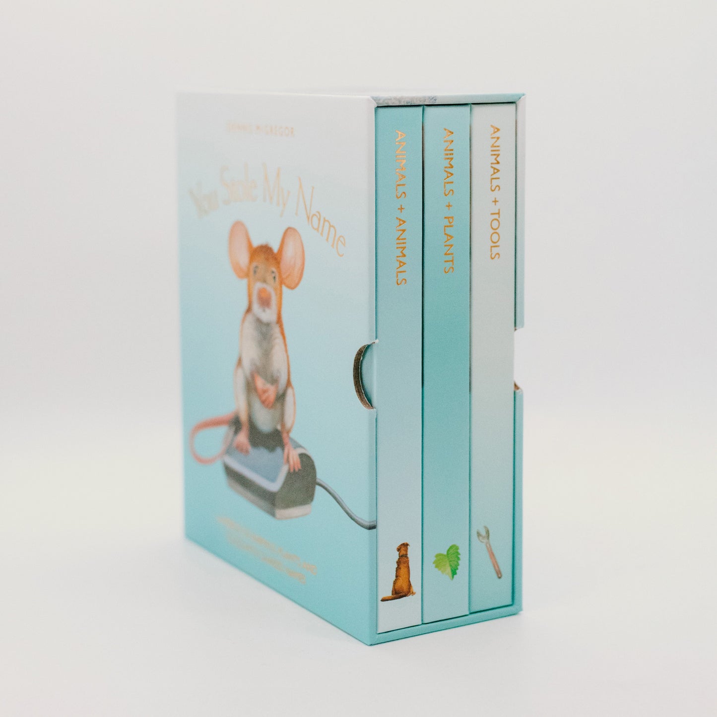 You Stole My Name Too Board Book Box Set