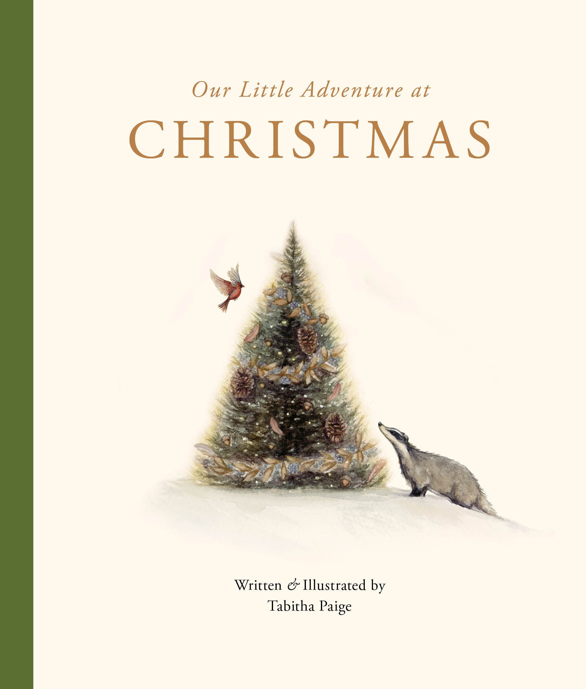 Our Little Adventure at Christmas - Featuring Foundational Language Concepts and Lessons on the Joy of Giving (Tabitha Paige Children's Book Series) (Book:11)