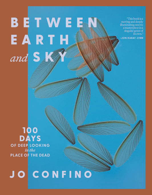 Between Earth and Sky - 100 Days of Deep Looking in the Place of the Dead