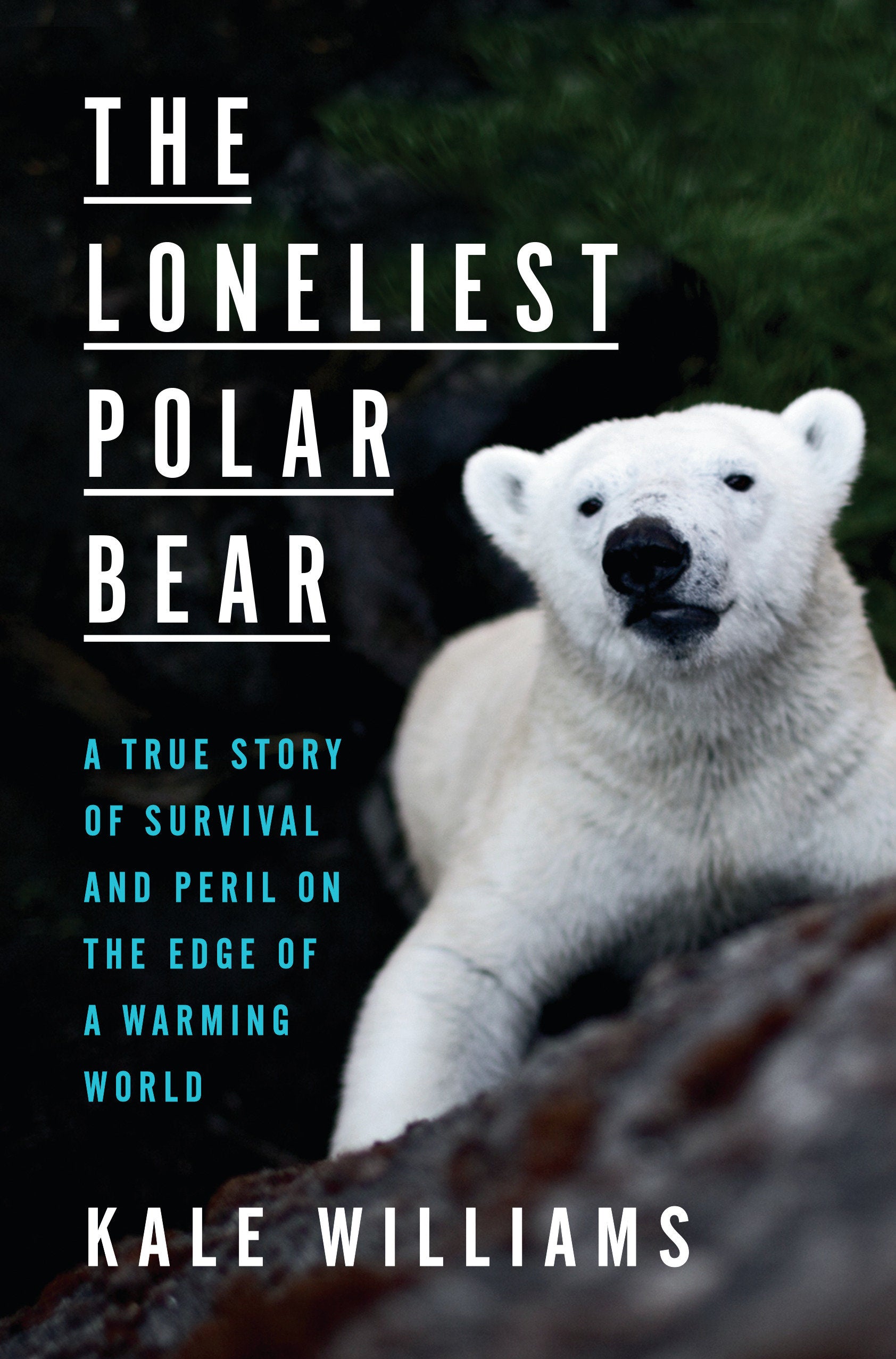 The Loneliest Polar Bear - A True Story of Survival and Peril on the Edge of a Warming World