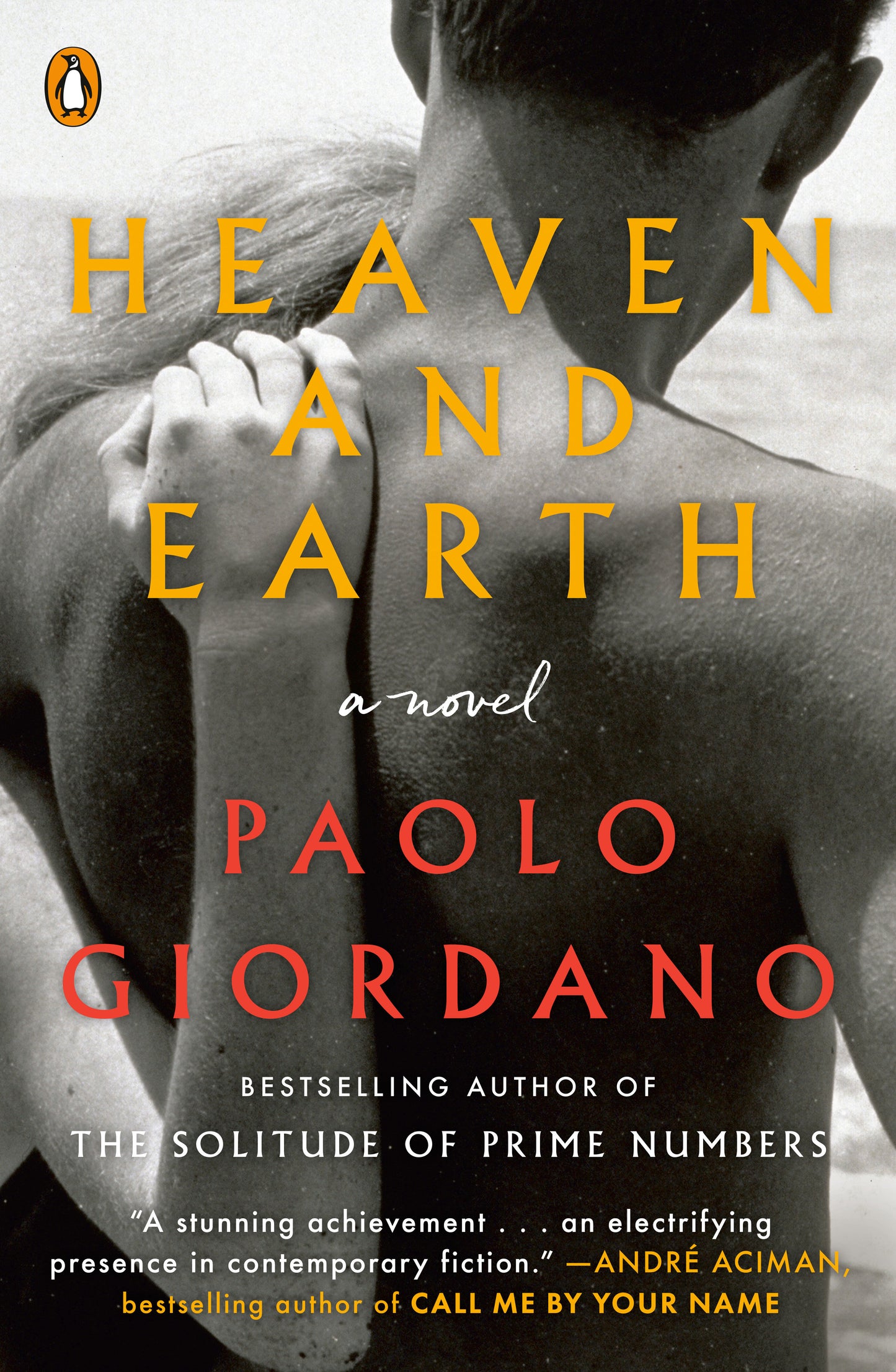 Heaven and Earth - A Novel