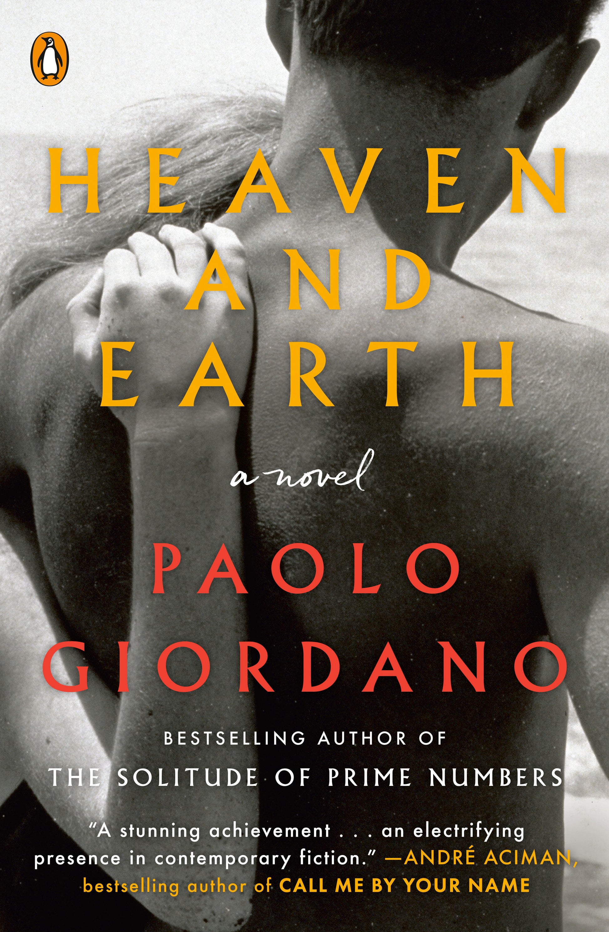 Heaven and Earth - A Novel