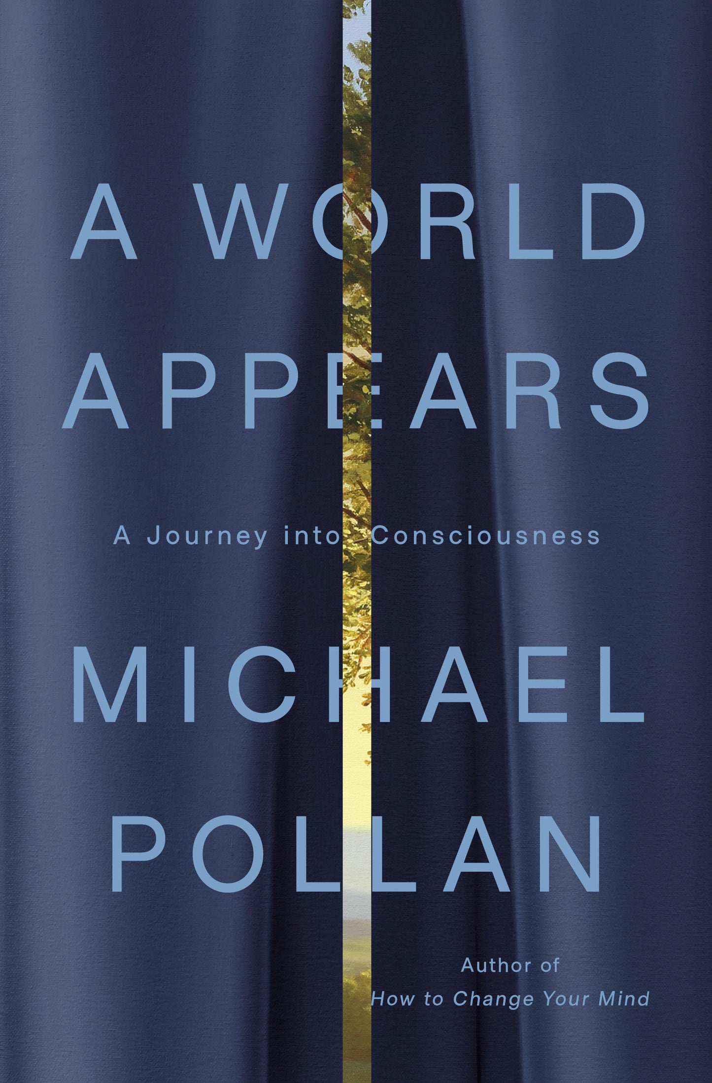 A World Appears - A Journey into Consciousness