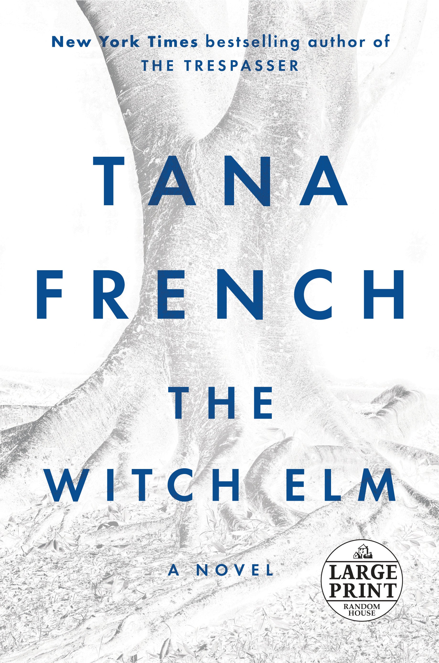 The Witch Elm - A Novel
