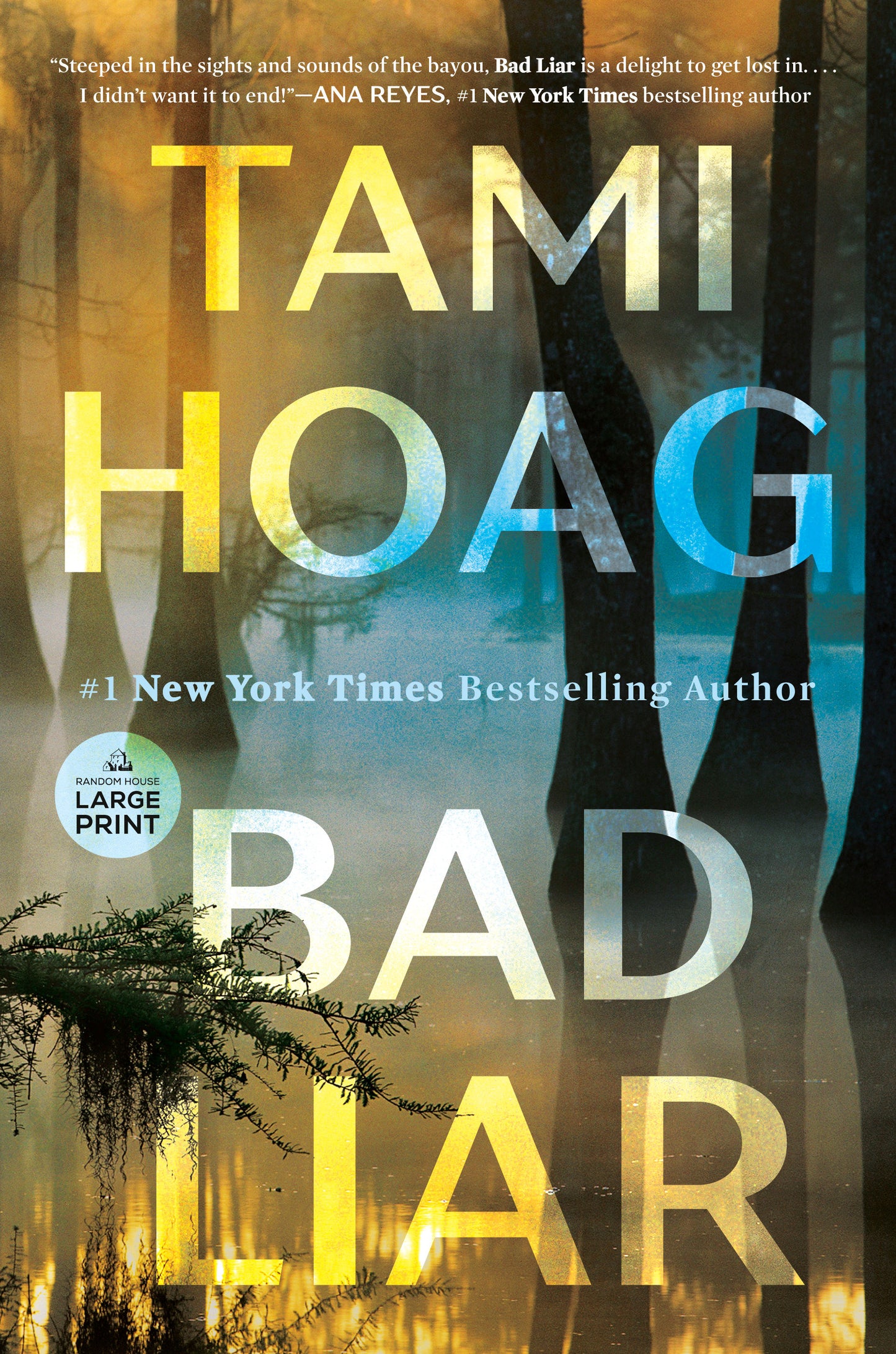 Bad Liar - A Novel