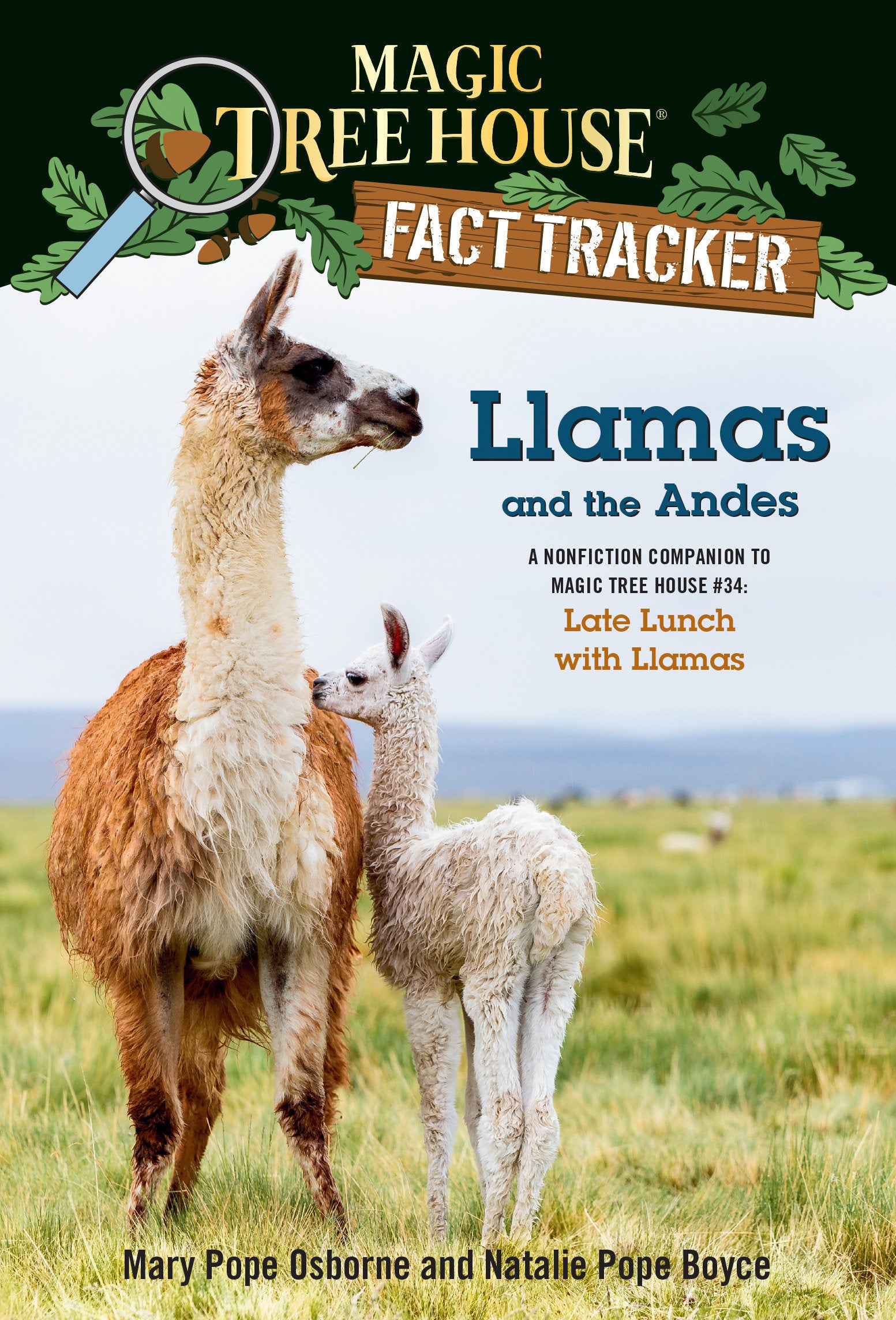 Llamas and the Andes - A nonfiction companion to Magic Tree House #34: Late Lunch with Llamas (Magic Tree House Fact Tracker) (Book:43)