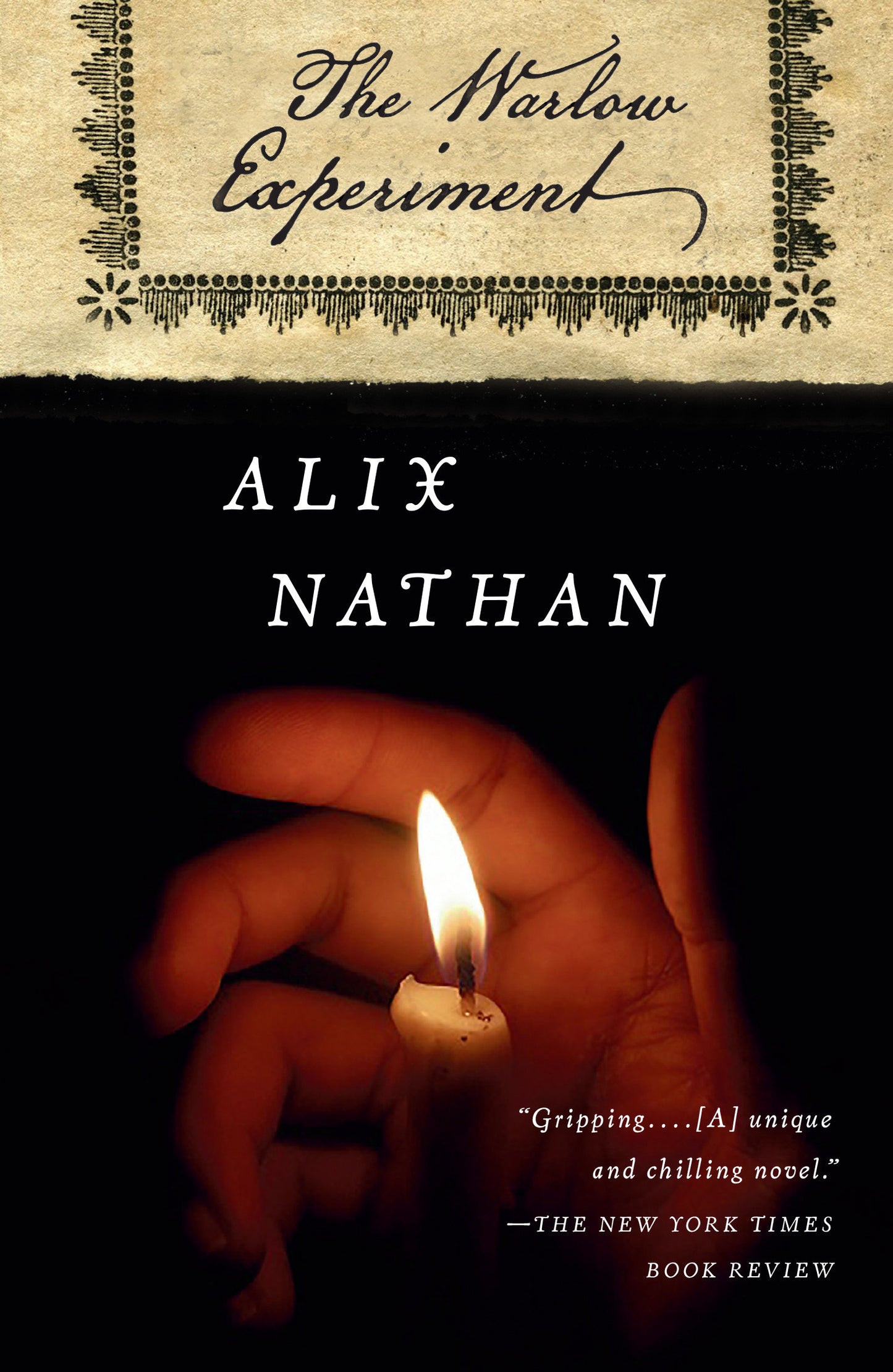 The Warlow Experiment - A Novel