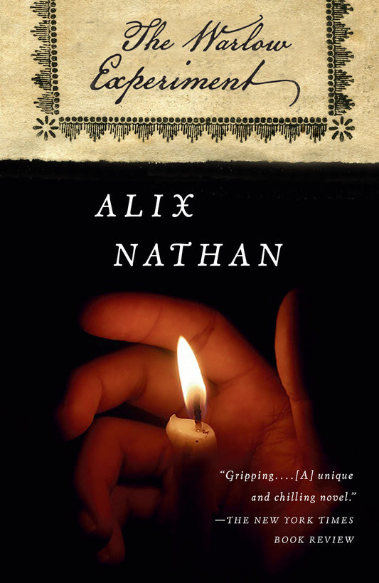 The Warlow Experiment - A Novel