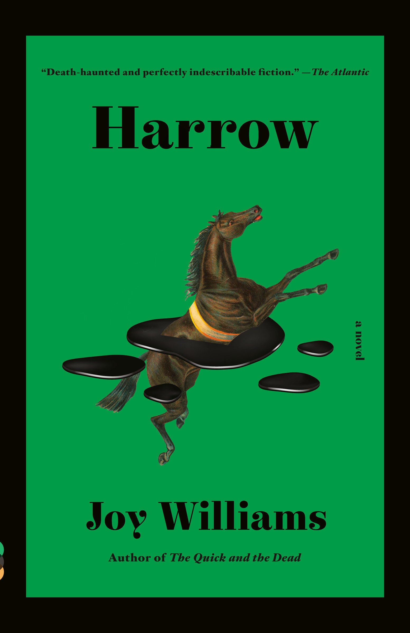 Harrow - A novel (Kirkus Prize) (Vintage Contemporaries)