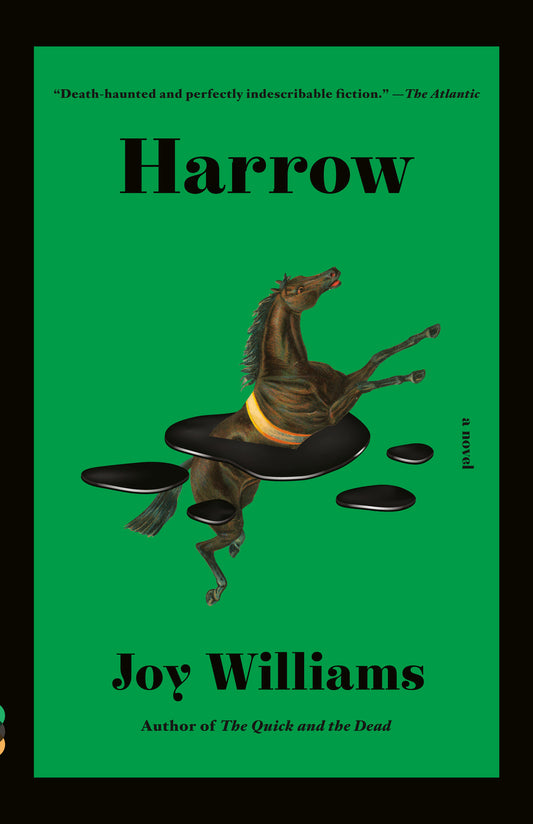 Harrow - A novel (Kirkus Prize) (Vintage Contemporaries)