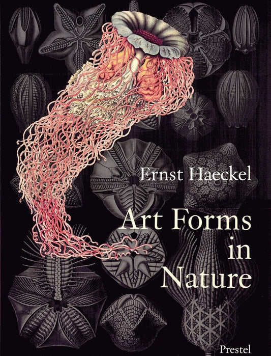 Art Forms in Nature - The Prints of Ernst Haeckel