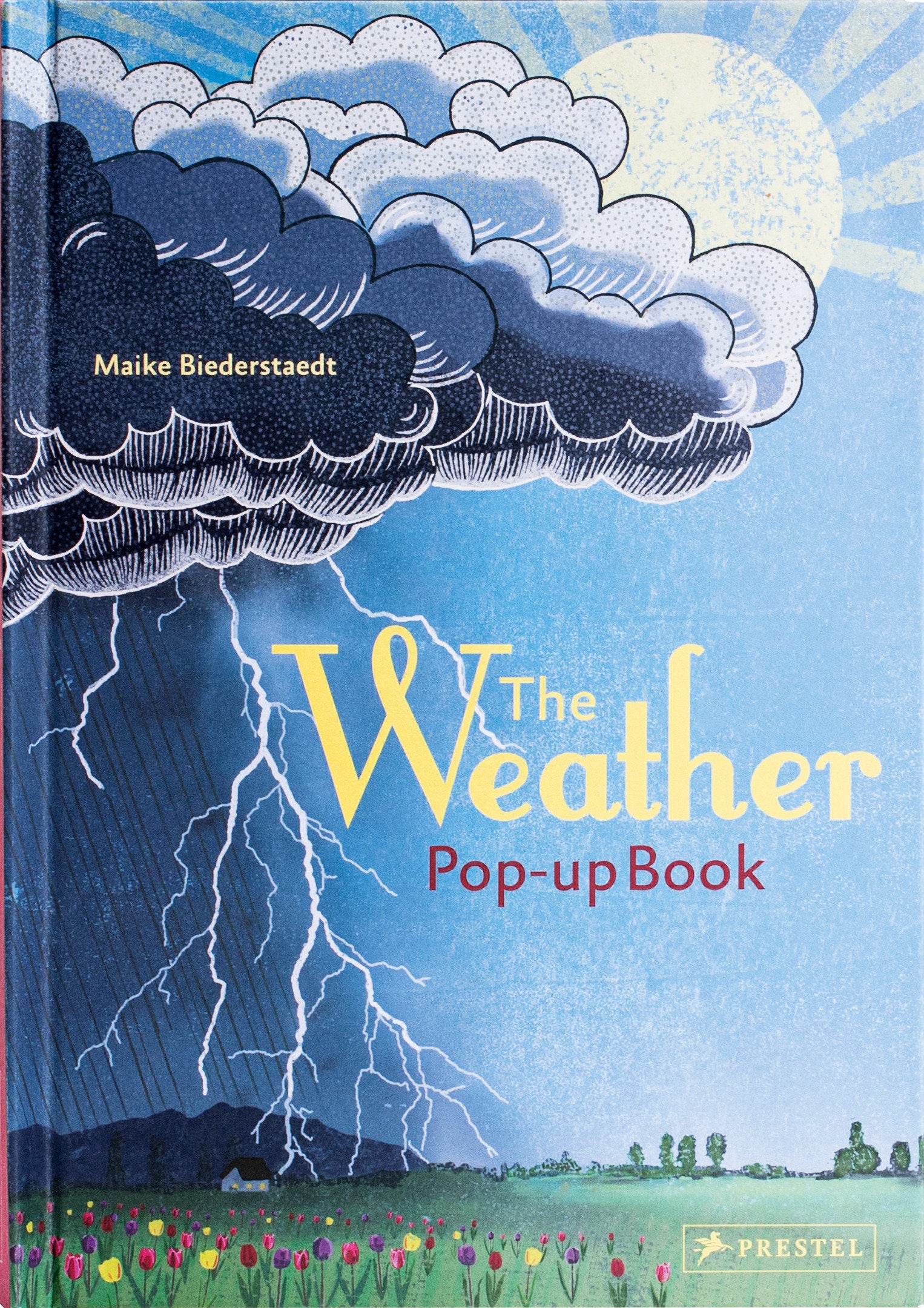 The Weather - Pop-up Book