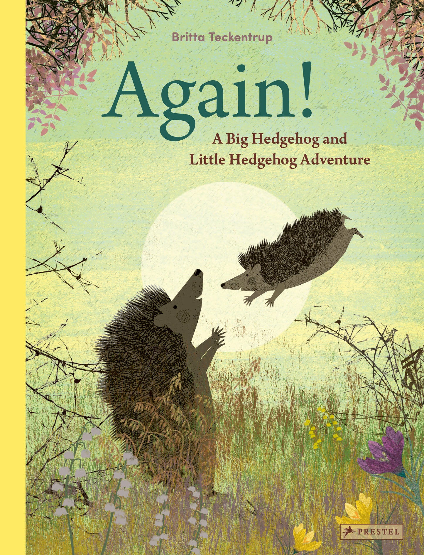 Again! - A Big Hedgehog and Little Hedgehog Adventure