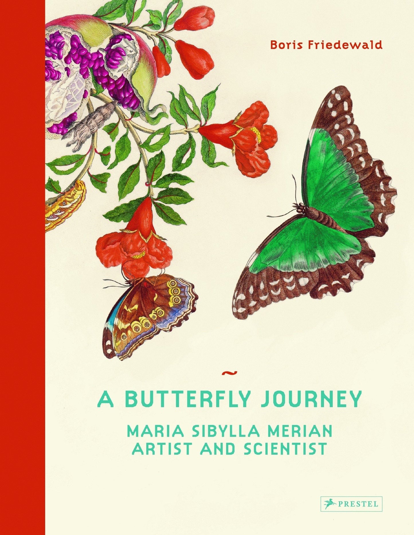 A Butterfly Journey - Maria Sibylla Merian. Artist and Scientist