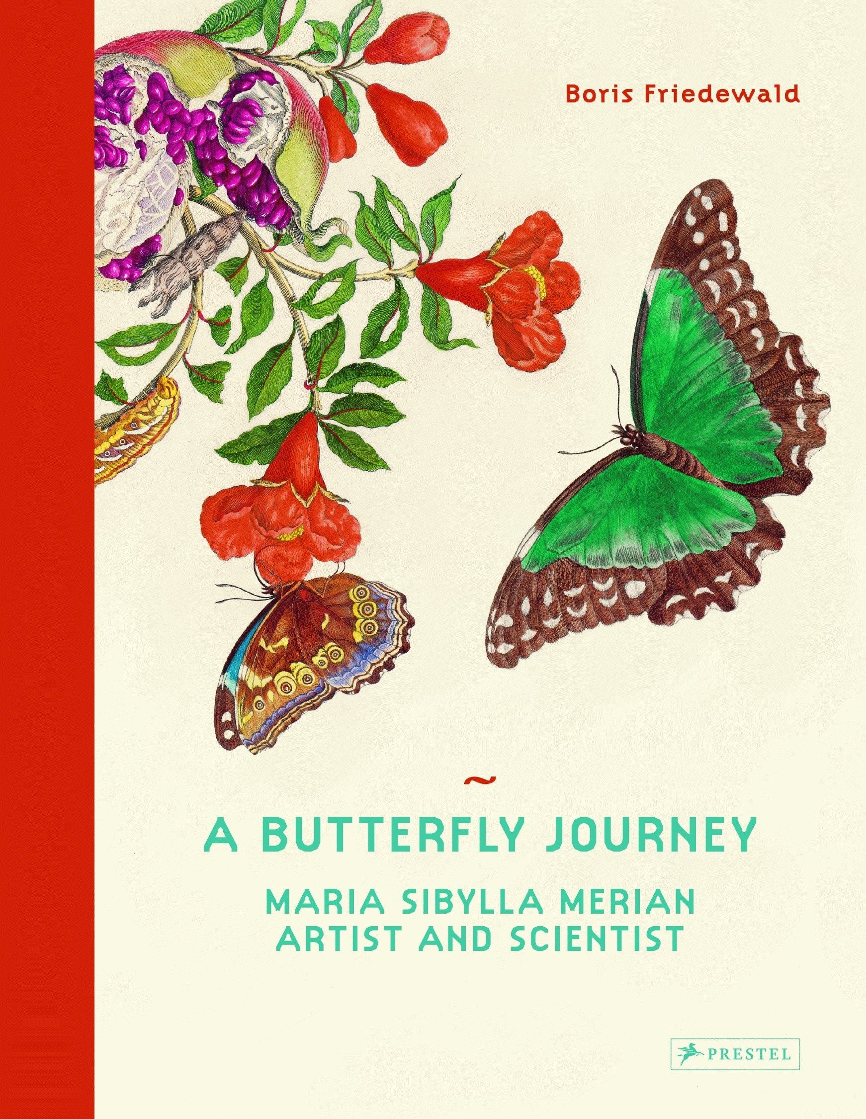 A Butterfly Journey - Maria Sibylla Merian. Artist and Scientist