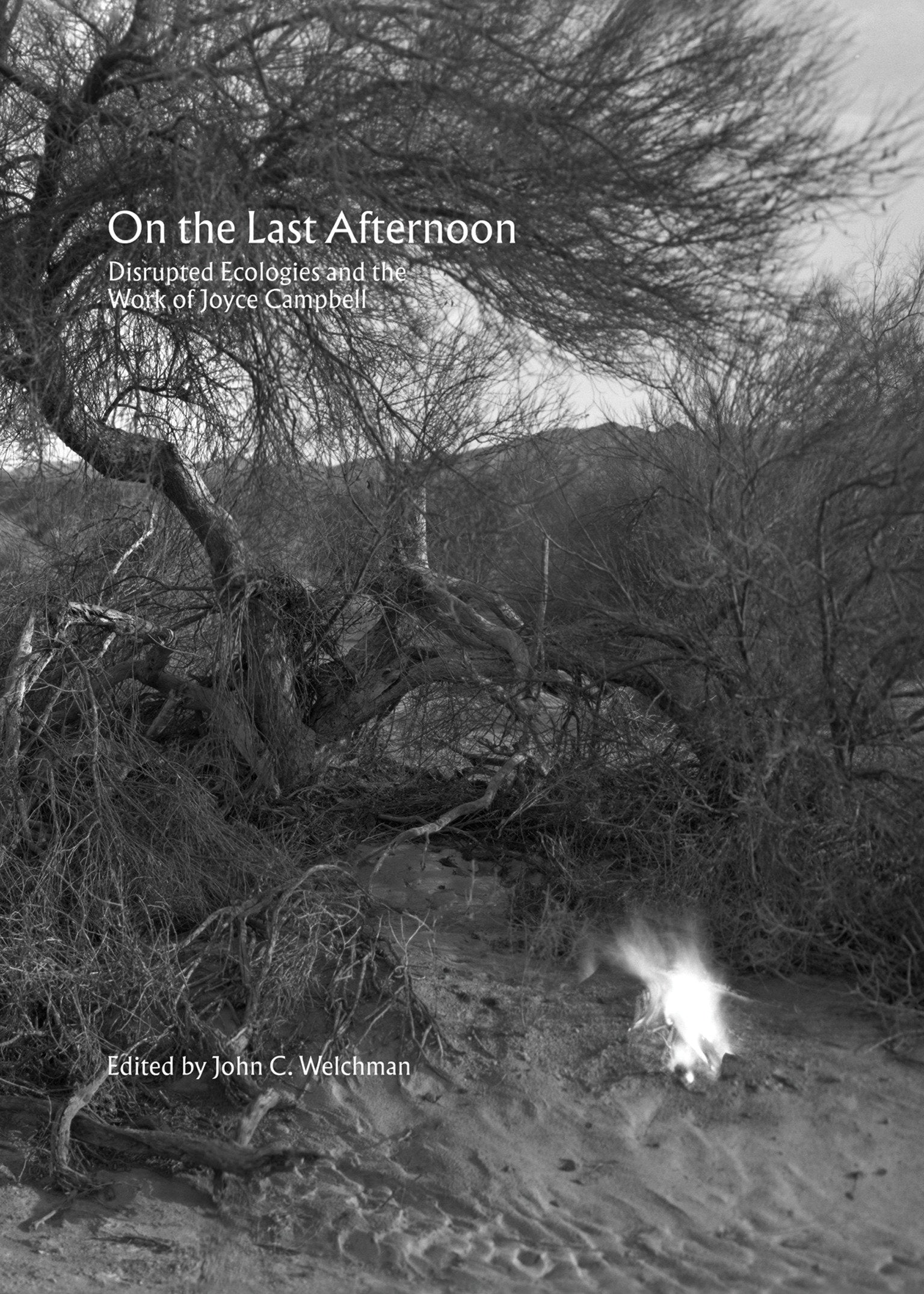 On the Last Afternoon - Disrupted Ecologies and the Work of Joyce Campbell